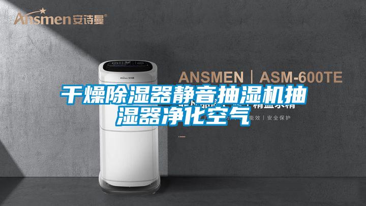 幹燥91看片在线下载器靜音抽濕機抽濕器淨化空氣