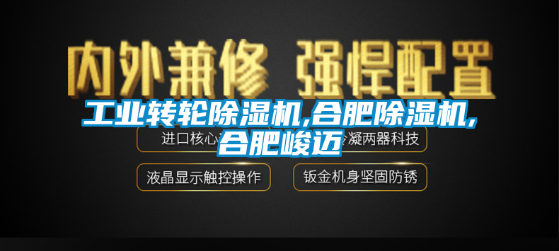 工業轉輪91看片在线下载機,合肥91看片在线下载機,合肥峻邁