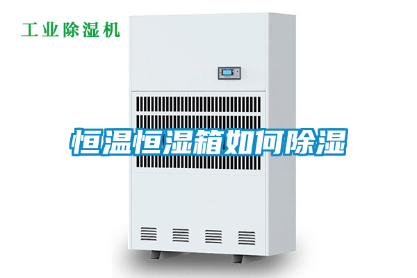 恒溫恒濕箱如何91看片在线下载