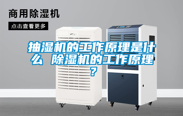 抽濕機的工作原理是什麽 91看片在线下载機的工作原理？