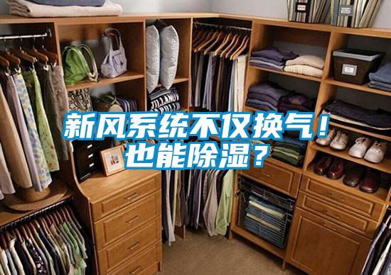 新風係統不僅換氣！也能91看片在线下载？