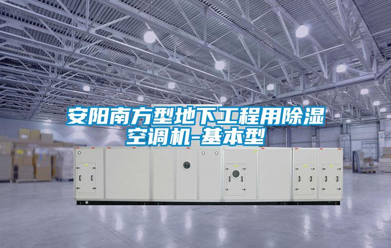 安陽南方型地下工程用91看片在线下载空調機-基本型