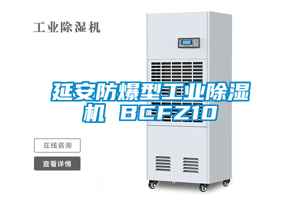 延安防爆型工業91看片在线下载機 BCFZ10