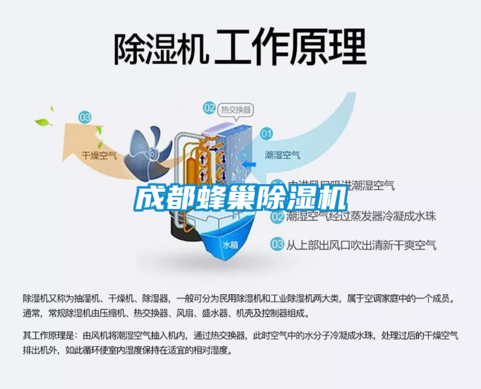 成都蜂巢91看片在线下载機