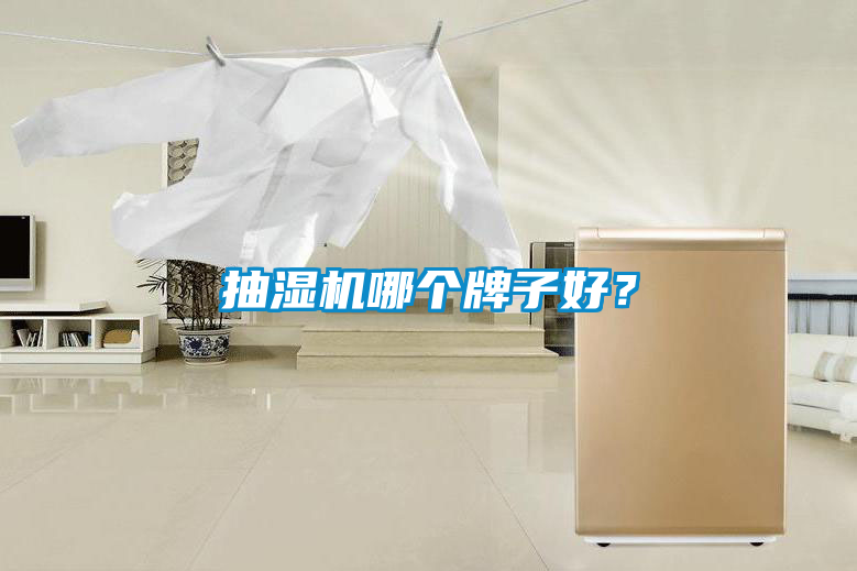 抽濕機哪個牌子好？