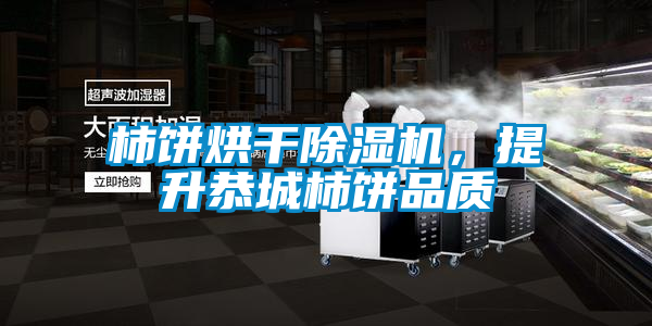 柿餅烘幹91看片在线下载機，提升恭城柿餅品質