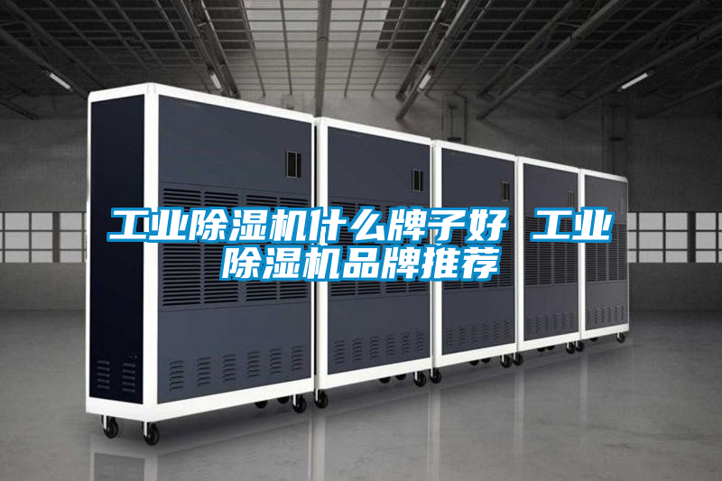 工業91看片在线下载機什麽牌子好 工業91看片在线下载機品牌推薦