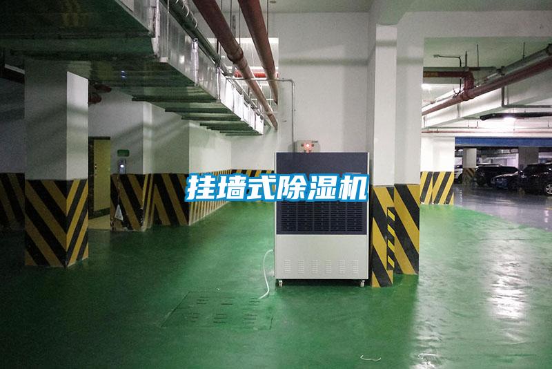 掛牆式91看片在线下载機