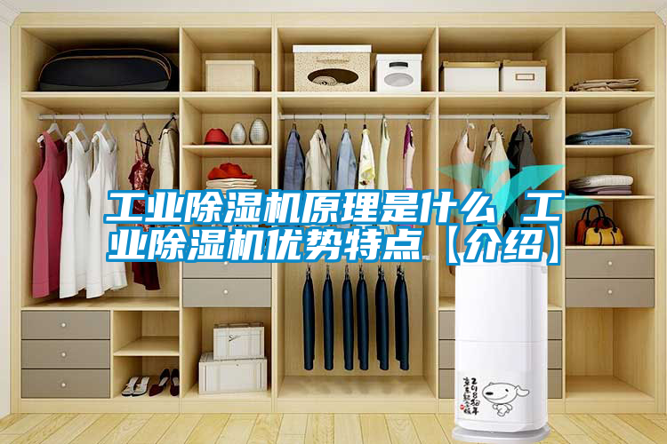 工業91看片在线下载機原理是什麽 工業91看片在线下载機優勢特點【介紹】