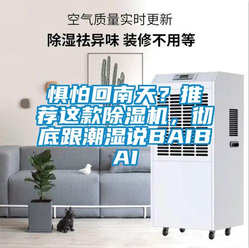懼怕回南天？推薦這款91看片在线下载機，徹底跟潮濕說BAIBAI