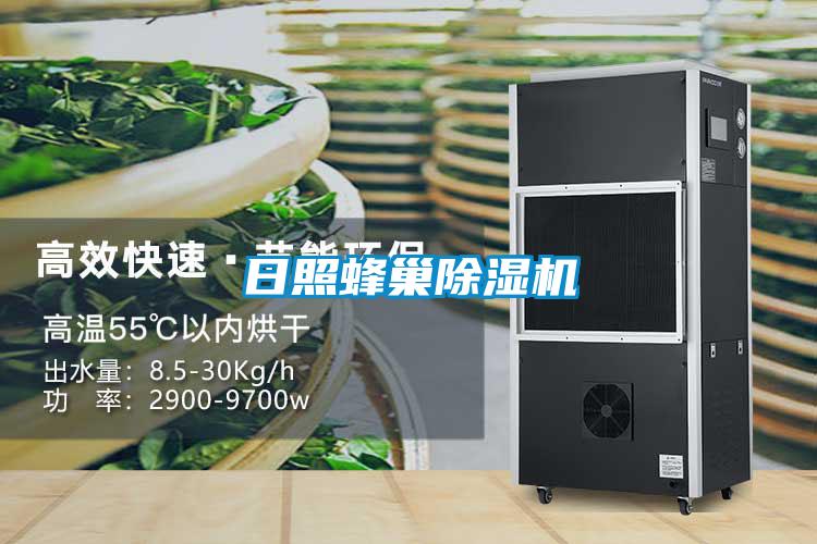 日照蜂巢91看片在线下载機