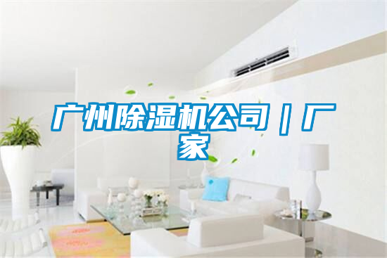 廣州91看片在线下载機公司｜廠家