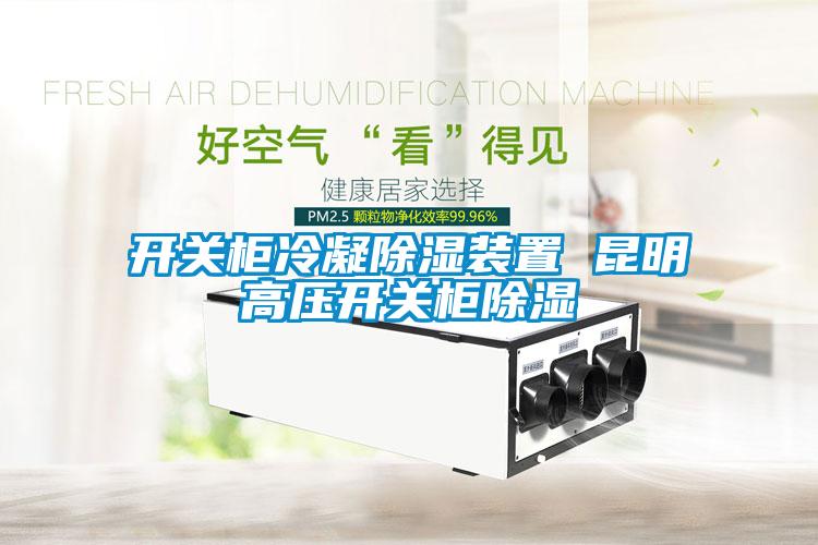 開關櫃冷凝91看片在线下载裝置 昆明高壓開關櫃91看片在线下载
