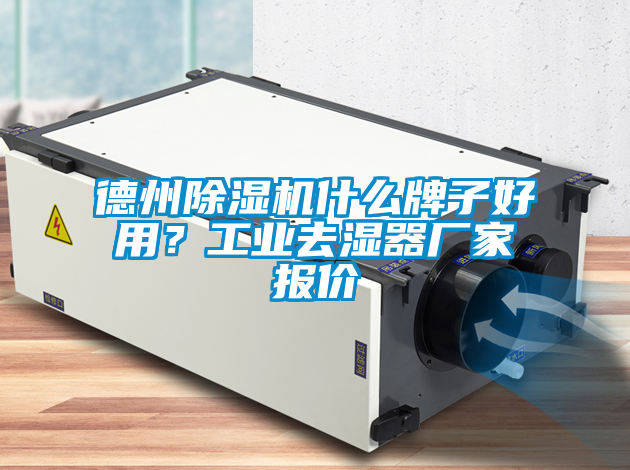 德州91看片在线下载機什麽牌子好用？工業去濕器廠家報價