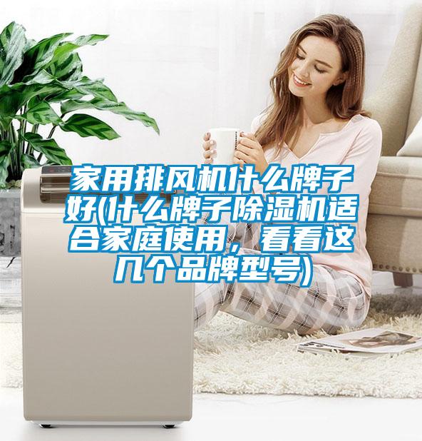 家用排風機什麽牌子好(什麽牌子91看片在线下载機適合家庭使用，看看這幾個品牌型號)