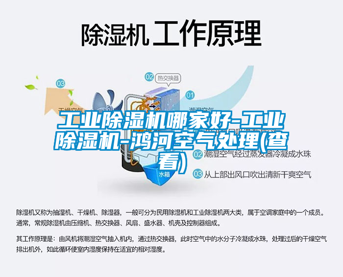 工業91看片在线下载機哪家好-工業91看片在线下载機-鴻河空氣處理(查看)