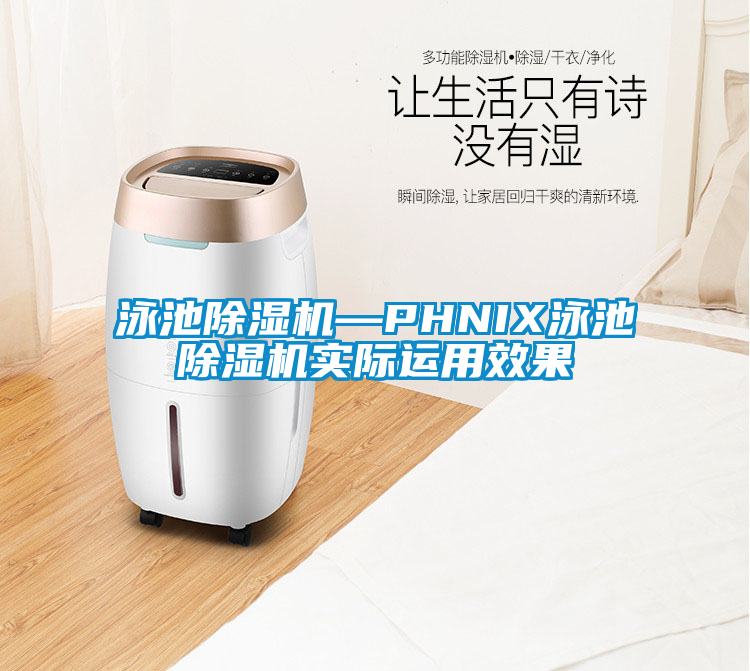 泳池91看片在线下载機—PHNIX泳池91看片在线下载機實際運用效果