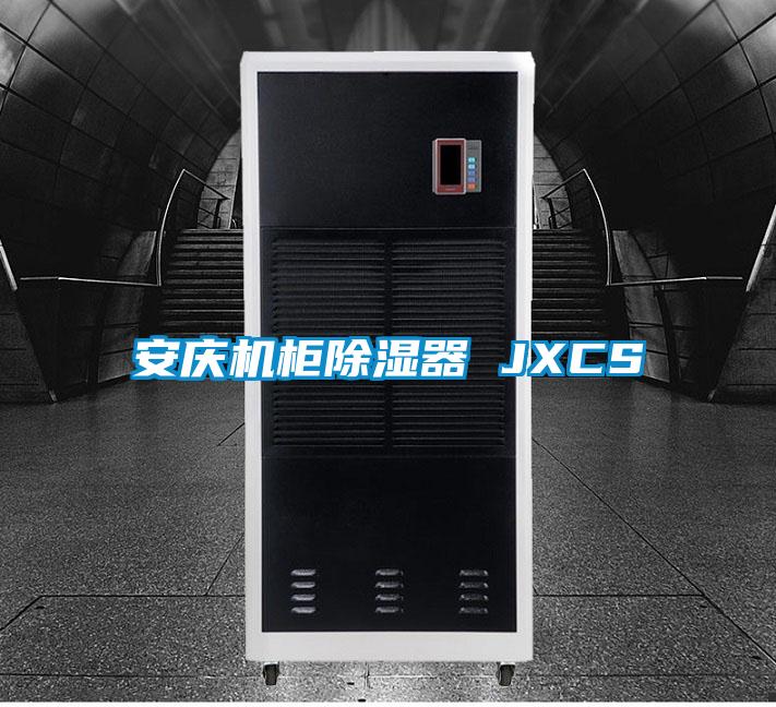 安慶機櫃91看片在线下载器 JXCS