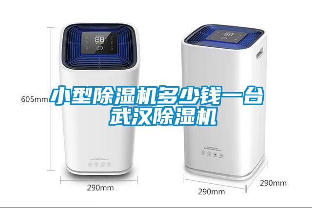 小型91看片在线下载機多少錢一台 武漢91看片在线下载機