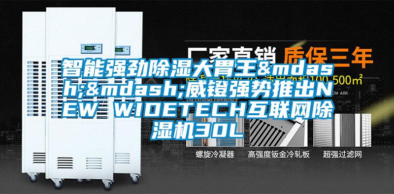 智能強勁91看片在线下载大胃王——威鐙強勢推出NEW WIDETECH互聯網91看片在线下载機30L