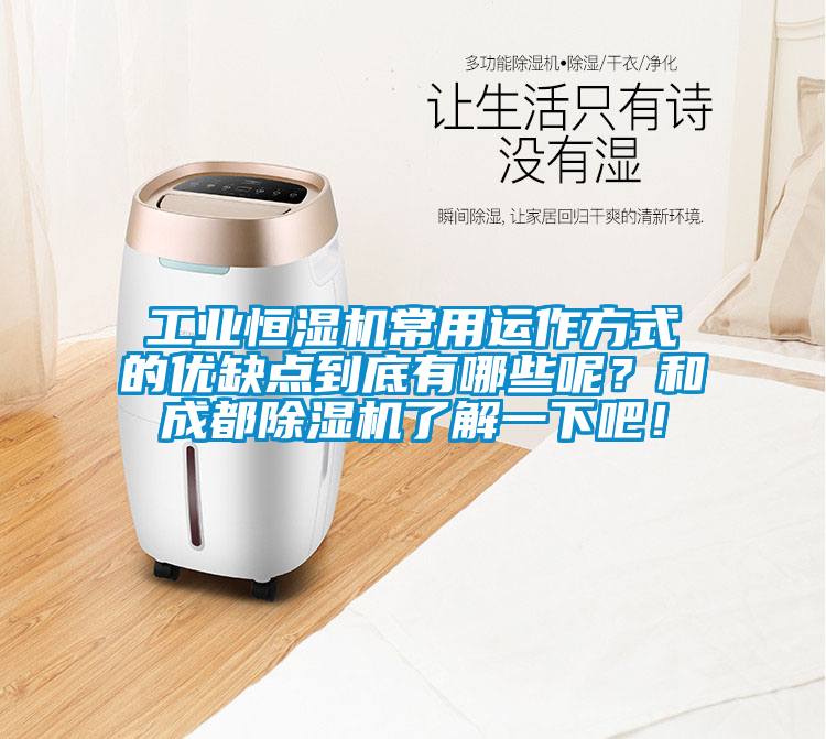 工業恒濕機常用運作方式的優缺點到底有哪些呢？和成都91看片在线下载機了解一下吧！