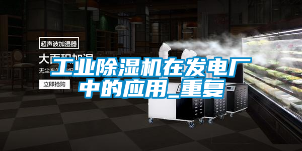 工業91看片在线下载機在發電廠中的應用_重複