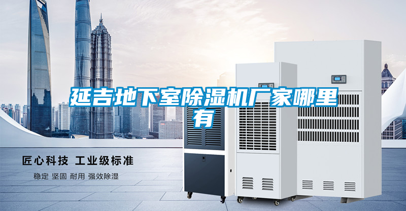 延吉地下室91看片在线下载機廠家哪裏有