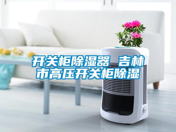 開關櫃91看片在线下载器 吉林市高壓開關櫃91看片在线下载