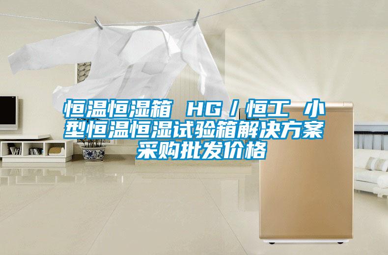 恒溫恒濕箱 HG／恒工 小型恒溫恒濕試驗箱解決免费看片下载 采購批發價格