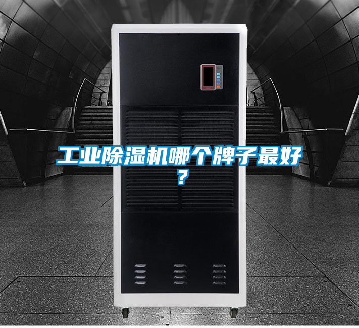 工業91看片在线下载機哪個牌子最好？