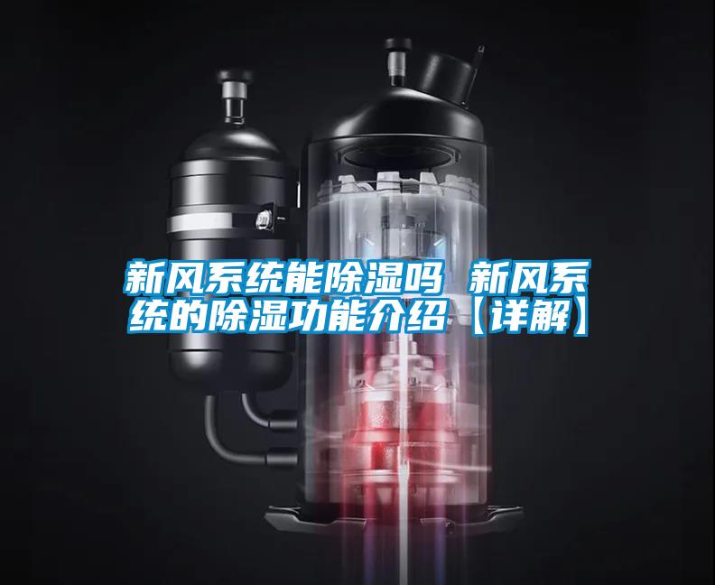 新風係統能91看片在线下载嗎 新風係統的91看片在线下载功能介紹【詳解】