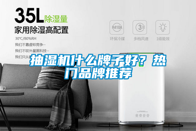 抽濕機什麽牌子好？熱門品牌推薦