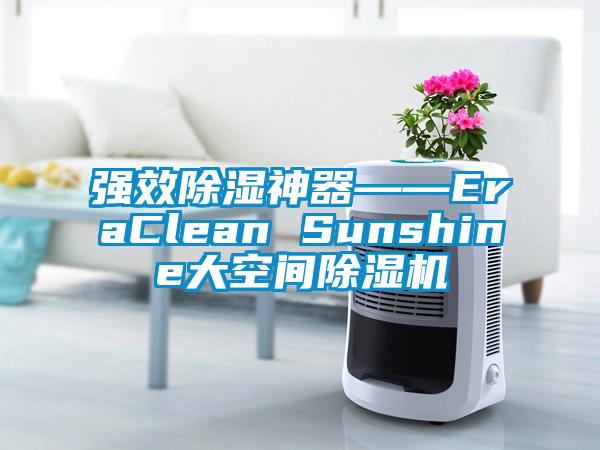 強效91看片在线下载神器――EraClean Sunshine大空間91看片在线下载機
