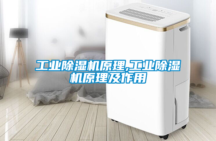 工業91看片在线下载機原理,工業91看片在线下载機原理及作用