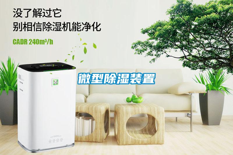 微型91看片在线下载裝置