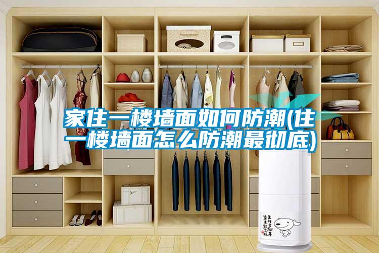 家住一樓牆麵如何防潮(住一樓牆麵怎麽防潮最徹底)