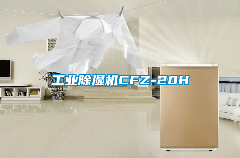 工業91看片在线下载機CFZ-20H