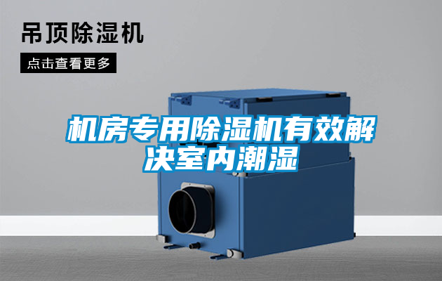 機房專用91看片在线下载機有效解決室內潮濕