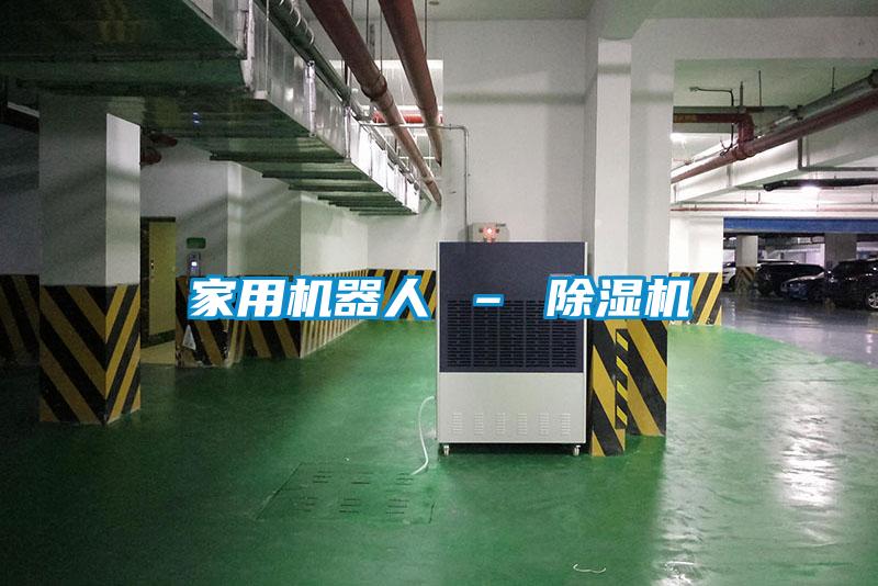 家用機器人 – 91看片在线下载機