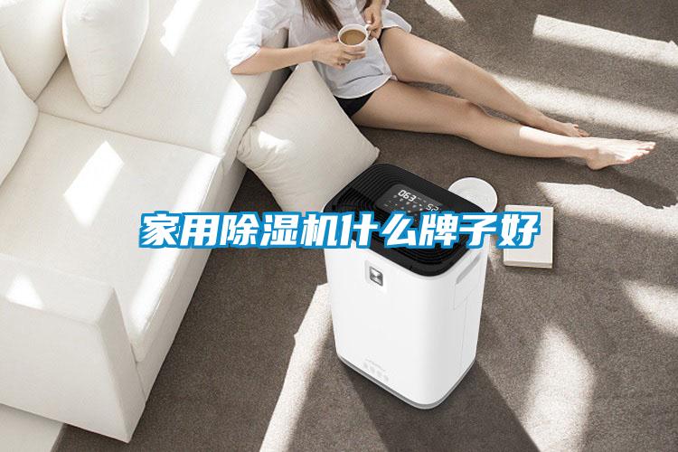 家用91看片在线下载機什麽牌子好