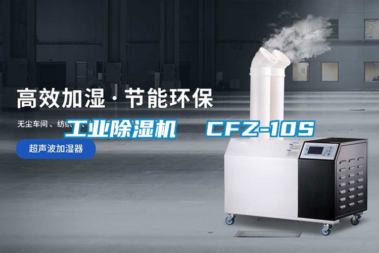 工業91看片在线下载機  CFZ-10S