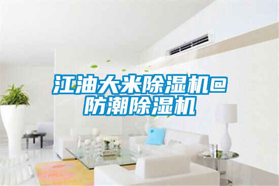江油大米91看片在线下载機@防潮91看片在线下载機