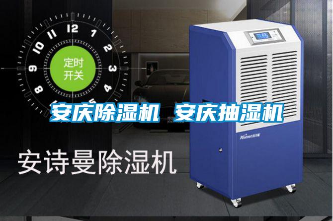 安慶91看片在线下载機 安慶抽濕機