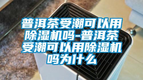 普洱茶受潮可以用91看片在线下载機嗎-普洱茶受潮可以用91看片在线下载機嗎為什麽