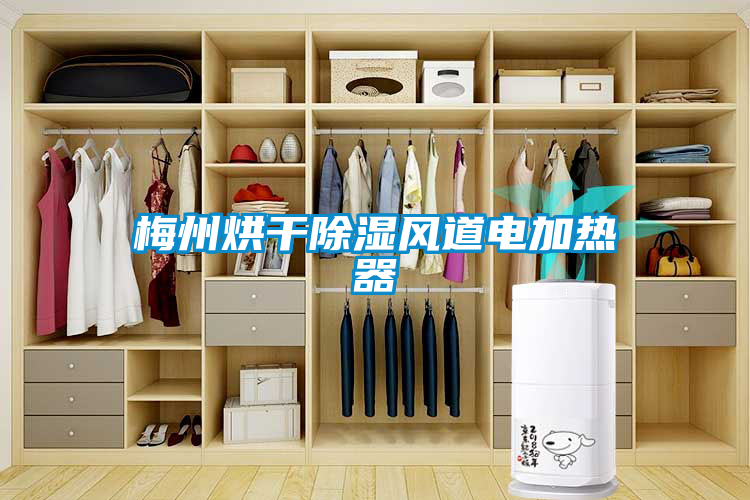 梅州烘幹91看片在线下载風道電加熱器