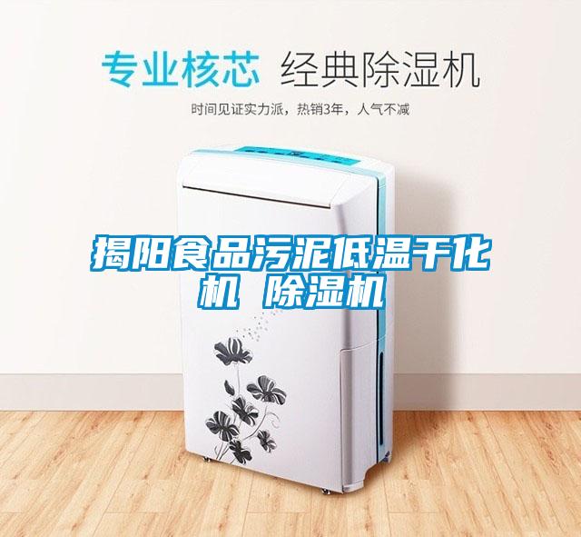 揭陽食品汙泥低溫幹化機 91看片在线下载機