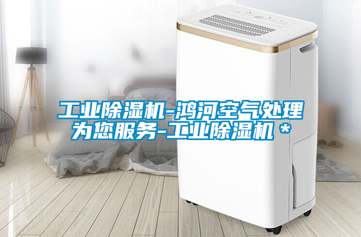 工業91看片在线下载機-鴻河空氣處理為您服務-工業91看片在线下载機＊
