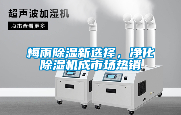 梅雨91看片在线下载新選擇，淨化91看片在线下载機成市場熱銷