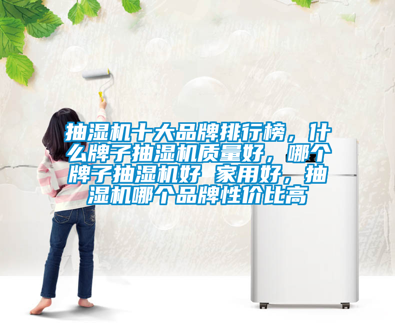 抽濕機十大品牌排行榜，什麽牌子抽濕機質量好，哪個牌子抽濕機好 家用好，抽濕機哪個品牌性價比高