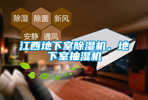 江西地下室91看片在线下载機，地下室抽濕機